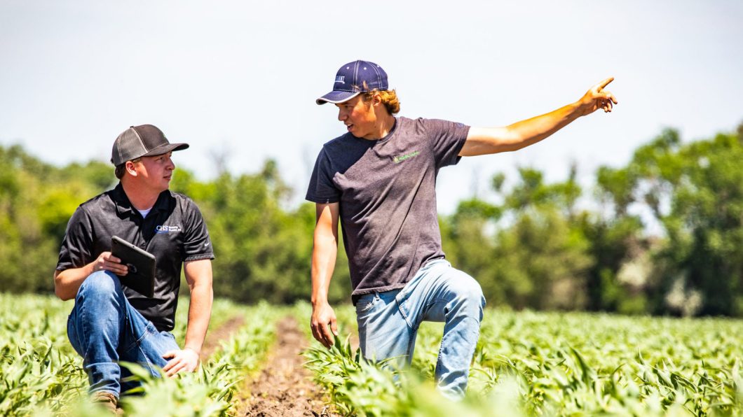 Two young farmer-owners kneeling in a young corn field